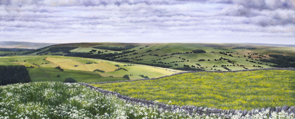 Oil painting, yorkshire dales art, nidderdale, countryside, buttercups, springtime.