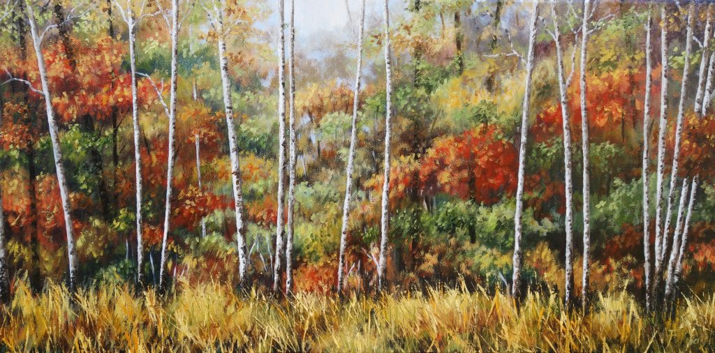 silver-birches-in-autumn