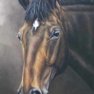 Latest Horse Portrait